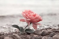 Overlijdensberichten